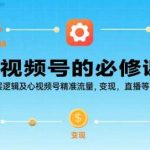 掌握视频号底层逻辑：精准流量获取与直播变现核心技巧-微七七网-是一个专注于全域获客|流量矩阵化打法的团队！