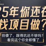 2025年找项目必看：揭秘成功选择与避免陷阱的终极指南-微七七网-是一个专注于全域获客|流量矩阵化打法的团队！