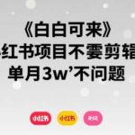 小红书副业零基础入门，无需剪辑轻松上手，月入3万实战攻略-微七七网-是一个专注于全域获客|流量矩阵化打法的团队！