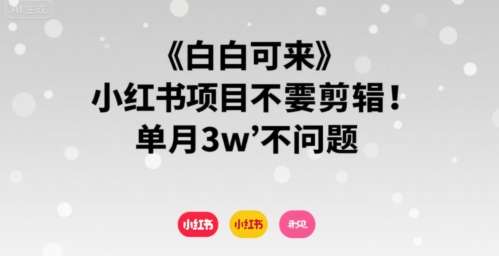 小红书副业零基础入门，无需剪辑轻松上手，月入3万实战攻略-微七七网-是一个专注于全域获客|流量矩阵化打法的团队！
