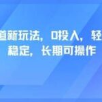 轻断食红利期揭秘：0门槛创业，单人月入1W+的可持续收益与矩阵放大实战-微七七网-是一个专注于全域获客|流量矩阵化打法的团队！