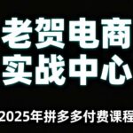 老贺电商2025拼多多付费课程10讲：零基础实战秘籍，轻松玩转多多运营（含基础推广与爆款打造）-微七七网-是一个专注于全域获客|流量矩阵化打法的团队！