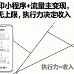 揭秘去水印小程序赚钱实战：流量主变现月入过万攻略，执行力才是关键-微七七网-是一个专注于全域获客|流量矩阵化打法的团队！