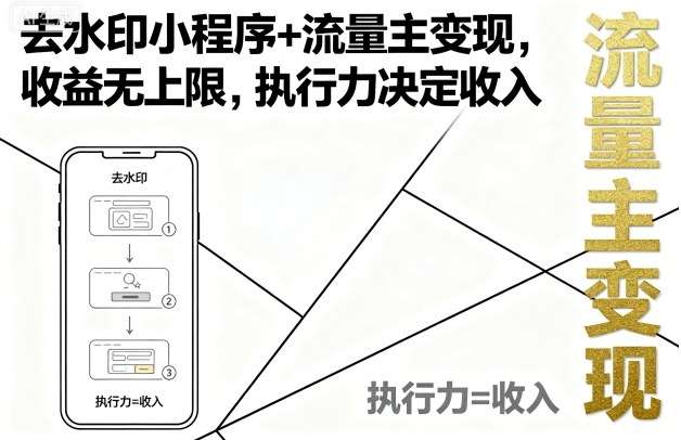 揭秘去水印小程序赚钱实战：流量主变现月入过万攻略，执行力才是关键-微七七网-是一个专注于全域获客|流量矩阵化打法的团队！