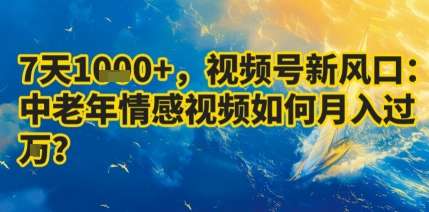 视频号新蓝海：中老年情感类内容变现，实测月入过万攻略-微七七网-是一个专注于全域获客|流量矩阵化打法的团队！