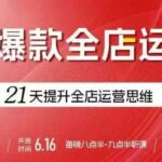 贾真电商爆款运营实战：21天系统课，从0到1掌握全店运营思维，轻松打造持续爆款店群！-微七七网-是一个专注于全域获客|流量矩阵化打法的团队！