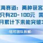 小众蓝海赛道挖掘：需求暴涨利基市场，单月稳赚3万+的实操玩法 💰-微七七网-是一个专注于全域获客|流量矩阵化打法的团队！