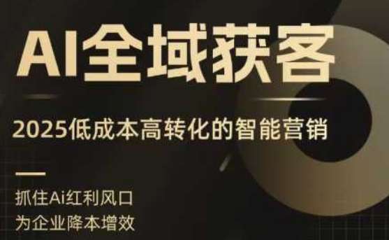 2025AI获客实战课：智能营销秘籍，精准找客与低成本高转化攻略-微七七网-是一个专注于全域获客|流量矩阵化打法的团队！
