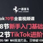 TikTok电商爆单实战课：从0到1掌握投流打品，日销破1000单的GMV提升秘籍-微七七网-是一个专注于全域获客|流量矩阵化打法的团队！