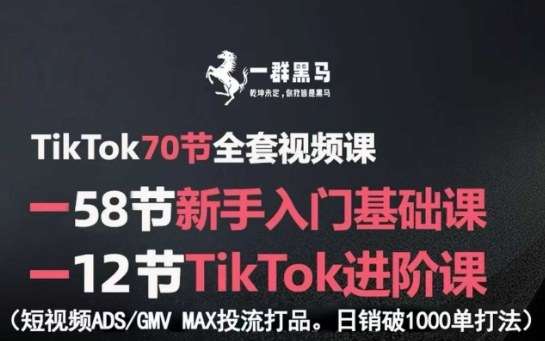 TikTok电商爆单实战课：从0到1掌握投流打品，日销破1000单的GMV提升秘籍-微七七网-是一个专注于全域获客|流量矩阵化打法的团队！