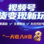 2025视频号带货新玩法：0粉无露脸无风险实操指南，单日收益突破800+-微七七网-是一个专注于全域获客|流量矩阵化打法的团队！