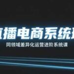 直播电商实战进阶系统课：差异化运营策略与流量引爆秘籍-微七七网-是一个专注于全域获客|流量矩阵化打法的团队！