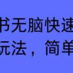 小红书2025涨粉变现新玩法：新手也能快速上手的实操指南，简单有效-微七七网-是一个专注于全域获客|流量矩阵化打法的团队！