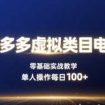 拼多多虚拟电商零基础实战教学：单人操作轻松实现日入100+的盈利指南-微七七网-是一个专注于全域获客|流量矩阵化打法的团队！