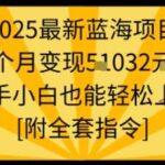 2025蓝海新项目：新手月入过万实战指南，零基础轻松操作【附完整指令包】-微七七网-是一个专注于全域获客|流量矩阵化打法的团队！