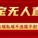 淘宝无人直播带货技术：安全不封号实操教程，新手也能快速爆单，日赚1000+全程揭秘-微七七网-是一个专注于全域获客|流量矩阵化打法的团队！