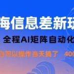 蓝海信息差新玩法：AI矩阵自动化实操，新手单日收益1000+的完整攻略-微七七网-是一个专注于全域获客|流量矩阵化打法的团队！