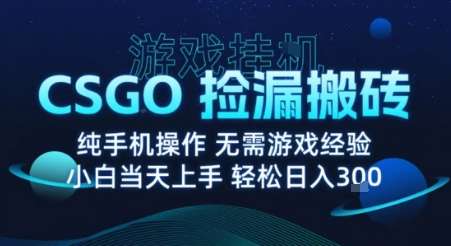 2023年8月CSGO搬砖新玩法：全自动挂机赚钱，无需手动操作，月入过万实战教程揭秘-微七七网-是一个专注于全域获客|流量矩阵化打法的团队！