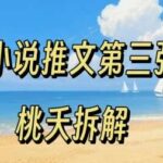 2025年小说推文新手实操攻略：0粉抖音起步月入过万全流程-微七七网-是一个专注于全域获客|流量矩阵化打法的团队！