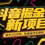 抖音掘金新项目：日入500+批量操作指南，小白副业月利20000+实战分享-微七七网-是一个专注于全域获客|流量矩阵化打法的团队！