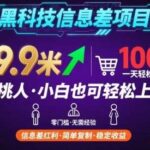 2025黑科技信息差变现玩法，单笔利润9.9元，新手当天操作即可出单，日赚1000+保姆级教程【实战揭秘】-微七七网-是一个专注于全域获客|流量矩阵化打法的团队！