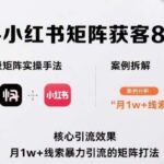 2025抖音快手小红书矩阵获客实战培训：月引万人线索的批量引流与高效转化实操手册-微七七网-是一个专注于全域获客|流量矩阵化打法的团队！