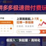 拼多多极速微付费3大玩法揭秘：8-10月上新必爆，3天启动7天拉爆链接！-微七七网-是一个专注于全域获客|流量矩阵化打法的团队！