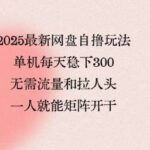 2025网盘自撸玩法：单机日入3张+矩阵操作，无需引流与推广【独家揭秘】-微七七网-是一个专注于全域获客|流量矩阵化打法的团队！