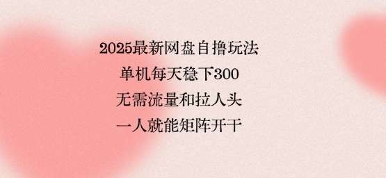 2025网盘自撸玩法：单机日入3张+矩阵操作，无需引流与推广【独家揭秘】-微七七网-是一个专注于全域获客|流量矩阵化打法的团队！