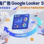 出海广告优化师进阶：Google Looker Studio实战从入门到精通，高效打造可视化报表摆脱报告困扰-微七七网-是一个专注于全域获客|流量矩阵化打法的团队！