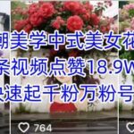 揭秘AI国潮美学中式美女花墙爆款，单条视频狂揽18.9W赞，快速起号千粉万粉实战教程-微七七网-是一个专注于全域获客|流量矩阵化打法的团队！