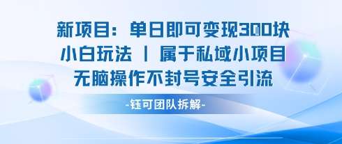 2025小白变现新玩法：日赚300+无脑操作，安全引流不封号，懒人亲测有效！-微七七网-是一个专注于全域获客|流量矩阵化打法的团队！