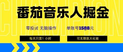 番茄音乐人副业掘金：单号矩阵操作月入1K+，0门槛小白也可上手-微七七网-是一个专注于全域获客|流量矩阵化打法的团队！