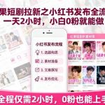 红果短剧拉新小红书实操指南：0粉起步每天2小时，轻松日赚500+-微七七网-是一个专注于全域获客|流量矩阵化打法的团队！