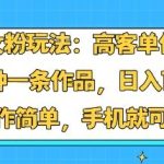 【2025揭秘】小红书女粉高客单价玩法：手机操作10分钟产出一条作品，单号日入1000+，小白轻松上手-微七七网-是一个专注于全域获客|流量矩阵化打法的团队！