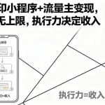 揭秘去水印小程序赚钱实战：流量主变现月入过万攻略，执行力才是关键-微七七网-是一个专注于全域获客|流量矩阵化打法的团队！