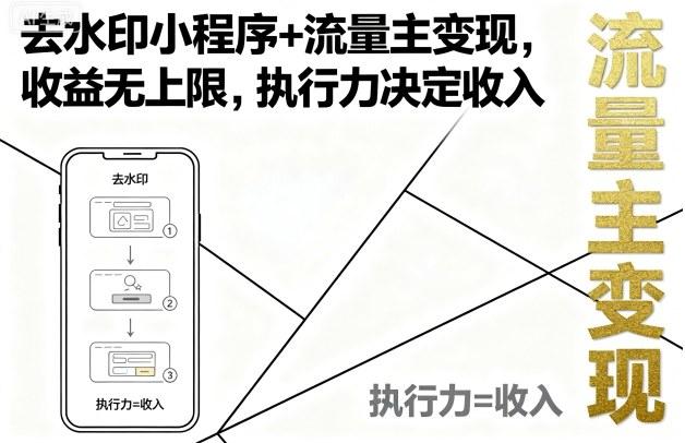 揭秘去水印小程序赚钱实战：流量主变现月入过万攻略，执行力才是关键-微七七网-是一个专注于全域获客|流量矩阵化打法的团队！