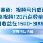 视频号分成计划收益爆发：单条作品狂赚120W，新手也能日均入账3000+！-微七七网-是一个专注于全域获客|流量矩阵化打法的团队！