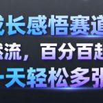 成长感悟赛道自然流量实战：100%起号成功率，日增多张账号轻松实现-微七七网-是一个专注于全域获客|流量矩阵化打法的团队！