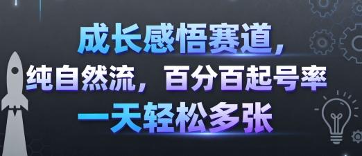 成长感悟赛道自然流量实战：100%起号成功率，日增多张账号轻松实现-微七七网-是一个专注于全域获客|流量矩阵化打法的团队！