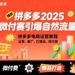 2025拼多多微付费引爆自然流量：3天见效电商运营教程，推广打爆品7天拉起免费流量，月利2万+-微七七网-是一个专注于全域获客|流量矩阵化打法的团队！