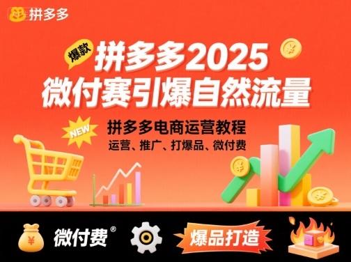 2025拼多多微付费引爆自然流量：3天见效电商运营教程，推广打爆品7天拉起免费流量，月利2万+-微七七网-是一个专注于全域获客|流量矩阵化打法的团队！