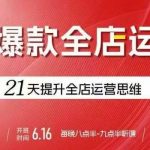 贾真电商爆款运营实战：21天系统课，从0到1掌握全店运营思维，轻松打造持续爆款店群！-微七七网-是一个专注于全域获客|流量矩阵化打法的团队！