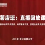 小红书店铺卖货直播回放实战课：开店选品与系统引流全解析，快速变现秘籍指南-微七七网-是一个专注于全域获客|流量矩阵化打法的团队！