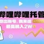 哔哩哔哩托管真相：交出账号我来运营，轻松躺赚月入2万揭秘！-微七七网-是一个专注于全域获客|流量矩阵化打法的团队！