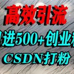 CSDN创业粉引流秘籍：揭秘单人日引500+精准流量的神秘平台实战指南-微七七网-是一个专注于全域获客|流量矩阵化打法的团队！