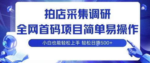 拍店采集零门槛副业：单号日赚500+保姆级教程，首码实操攻略揭秘-微七七网-是一个专注于全域获客|流量矩阵化打法的团队！