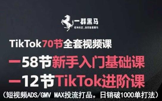 TIKTOK短视频爆单实战课：新手入门到高阶投流，掌握ADS-GMV MAX打法实现日销1000单完整视频课程-微七七网-是一个专注于全域获客|流量矩阵化打法的团队！