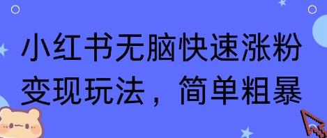 小红书无脑快速涨粉变现玩法揭秘：简单粗暴，新手也能轻松爆粉-微七七网-是一个专注于全域获客|流量矩阵化打法的团队！
