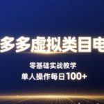 拼多多虚拟类目电商零基础实战：单人操作日赚100+全教程-微七七网-是一个专注于全域获客|流量矩阵化打法的团队！